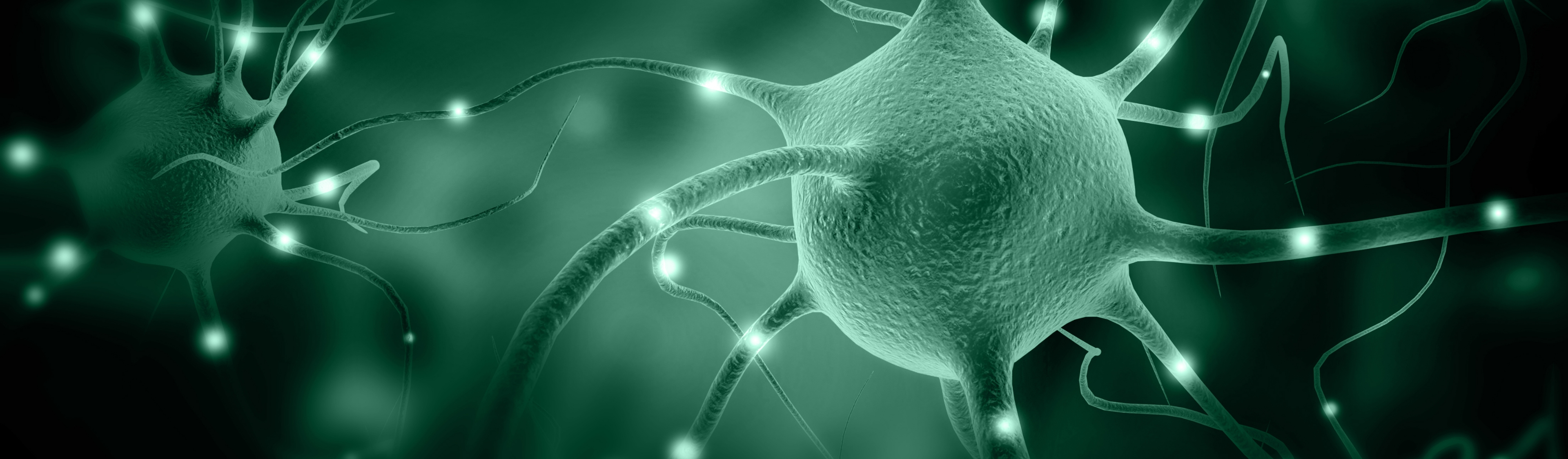 Neurofizjologia 2026